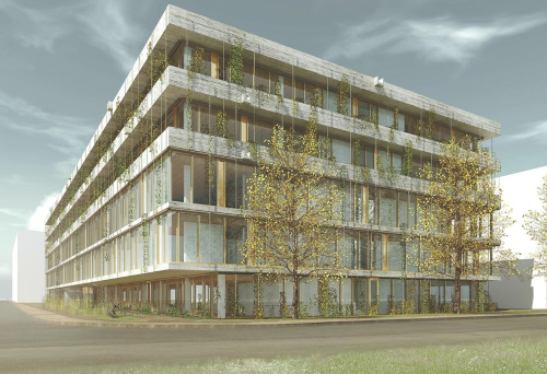 Neubau des Swiss TPH in Allschwil